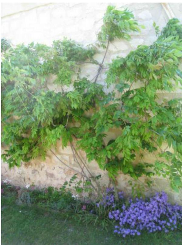 Le Clos De La Chapelle - Gite Les Glycines Екстер'єр фото